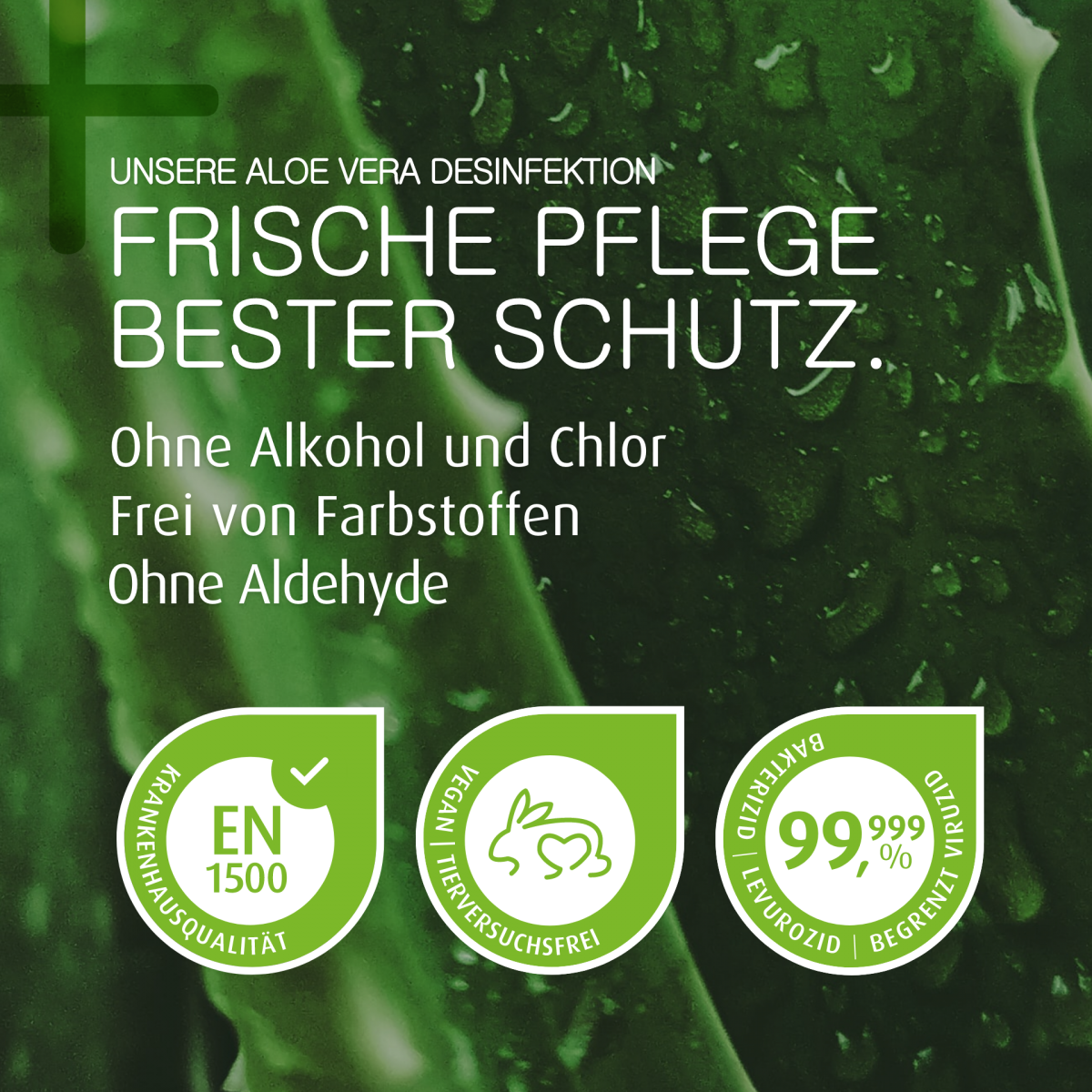 aloe vera naturprodukte Natürliches Duschgel Aloe Vera & Zaubernuss